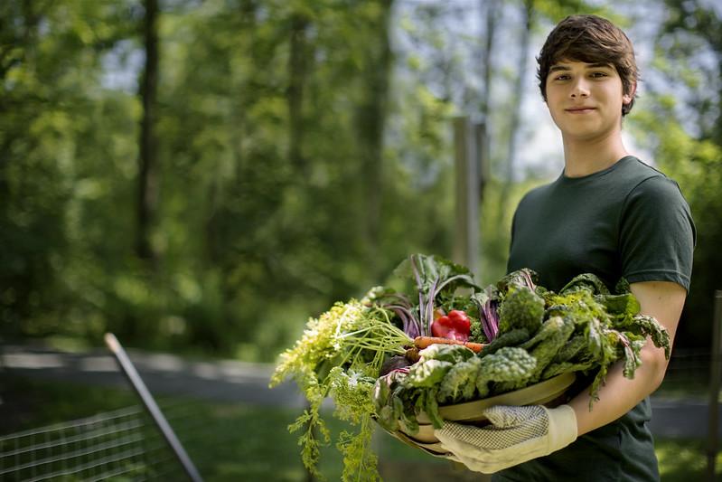 4-H Gardening