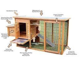 Small Flock Coop Construction