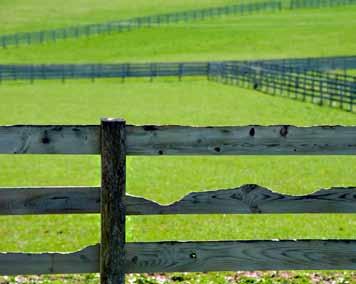 Pasture sectioned off with fencing