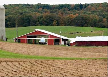 Farm field with farm buildings in the background