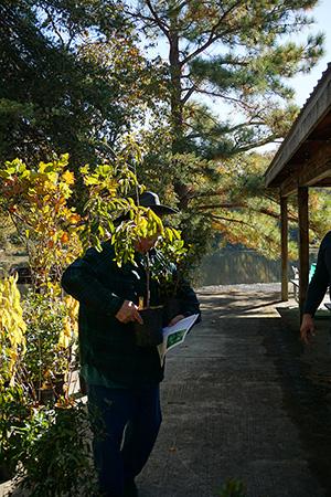 Charles County 4-H plant giveaway