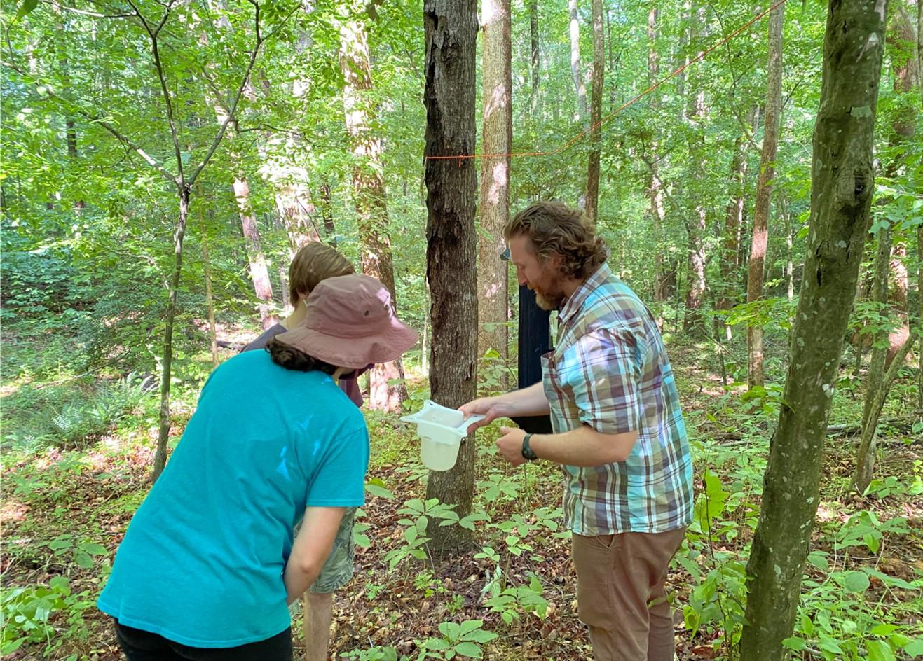 Adults and youth using a net to catch insects.