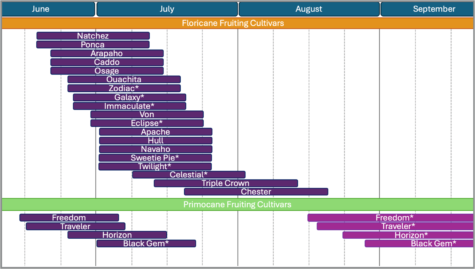 Blackberry Maturity Chart depicts the estimated fruit harvesting season for Maryland in USDA Hardiness Zone 7B for the thornless cultivars described above. Floricane fruiting varieties are included at the top of the table where the indigo bar indicates the duration of the harvest window. Cultivars are ordered from earliest to latest fruiting. Primocane fruiting varieties are included at the bottom of the table with the floricane fruiting window in indigo and their primocane fruiting window in purple.