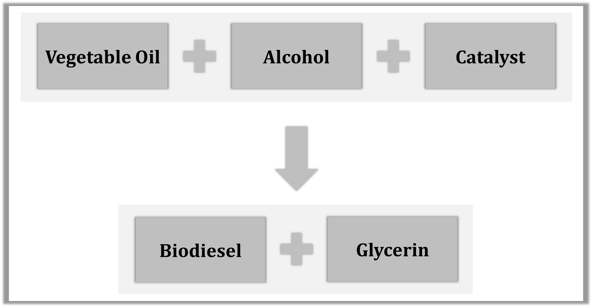 transesterification process diagram