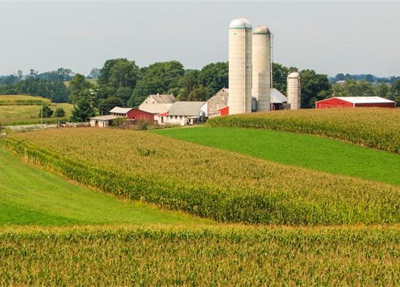 farmland in maryland