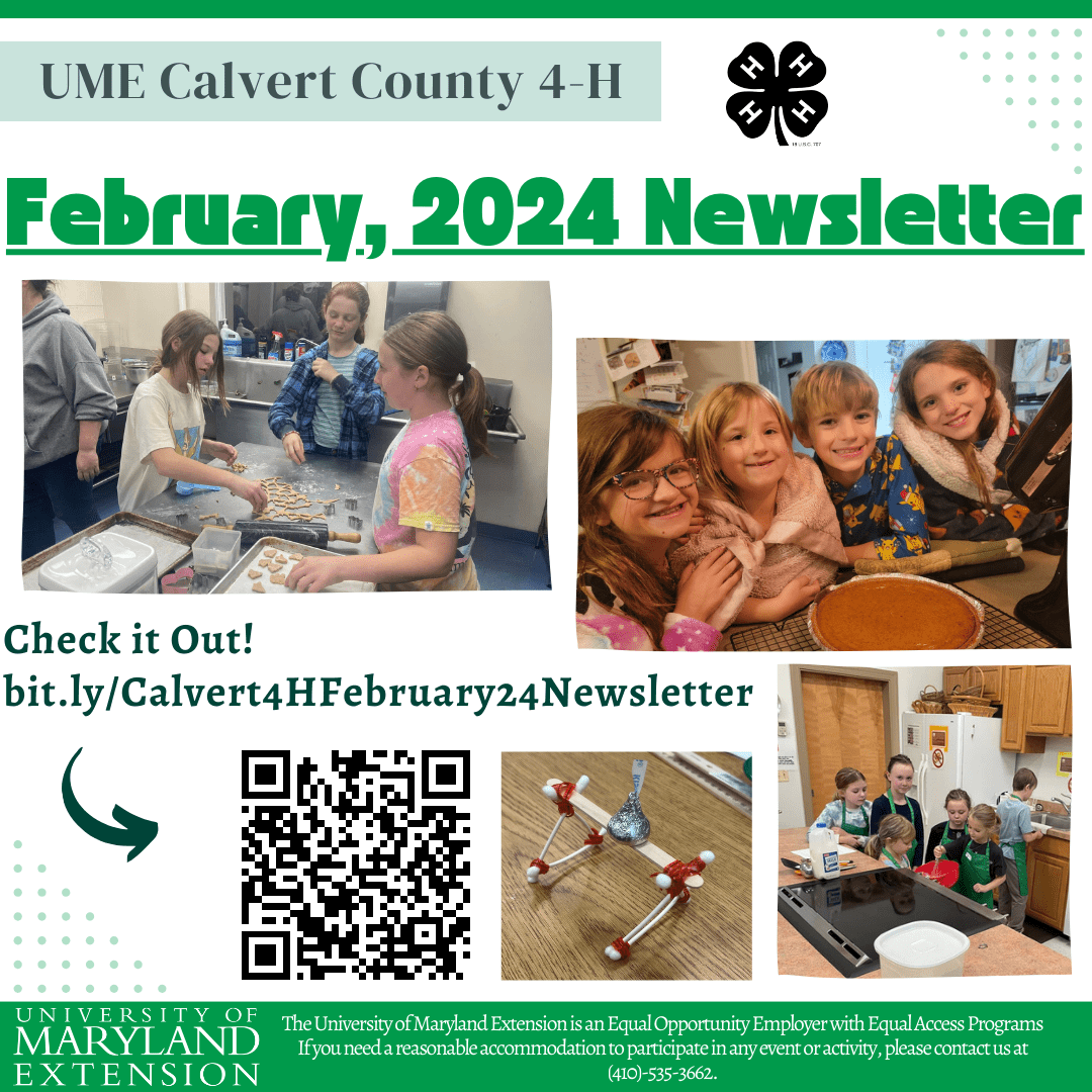 Graphic showing Calvert 4-H 2024 Newsletter