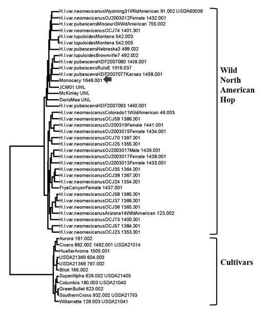 Fig 4 Monocacy groups