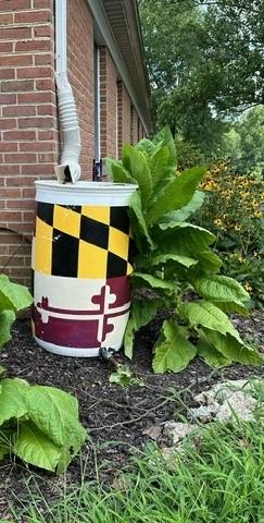 Rain Barrel