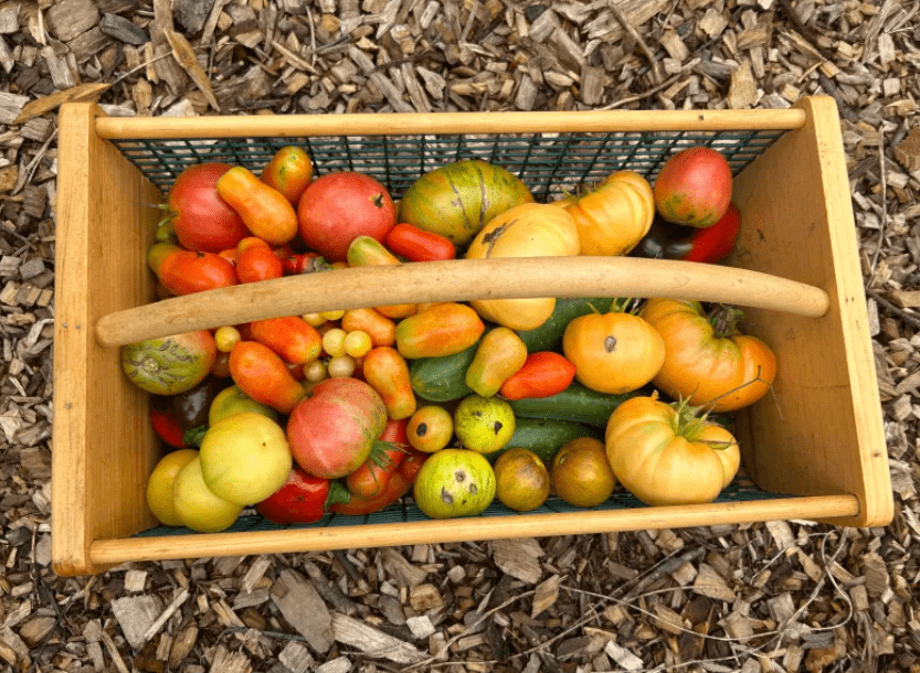 vegetables in a basket